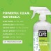 Better Life Natural All-Purpose Cleaner, Safe Around Kids & Pets, 32 Fl Oz (Pack of 2), 2409C